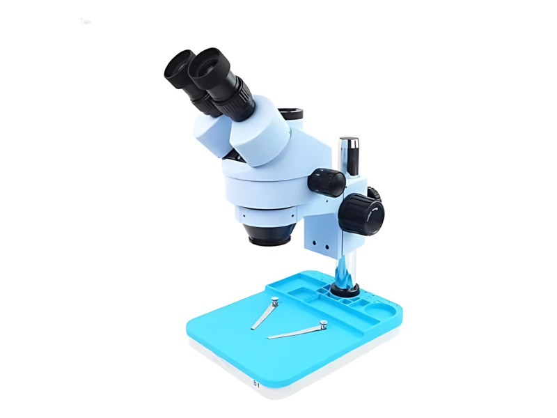 Stereo Microscope