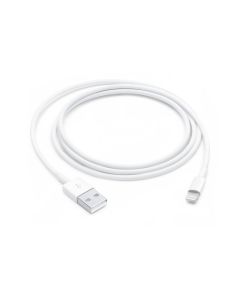 C&acirc;ble Lightning vers USB (1 m)